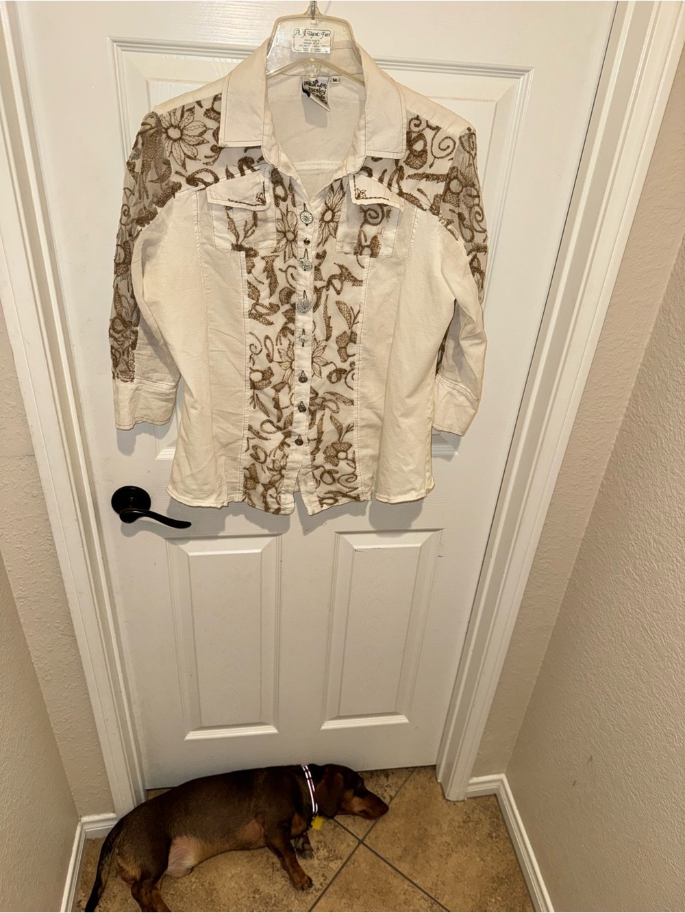 Parsley & Sage Cream Top with brown embroidery and sheer sleeves lightweight